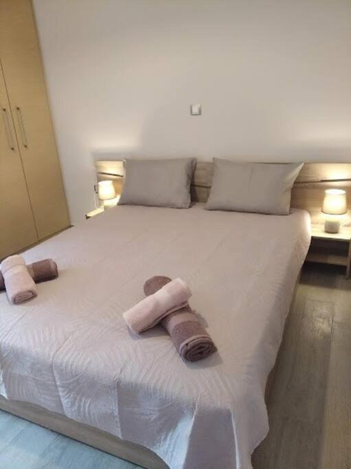 City Comfort Apartment 普雷韦扎 外观 照片