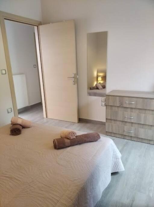 City Comfort Apartment 普雷韦扎 外观 照片
