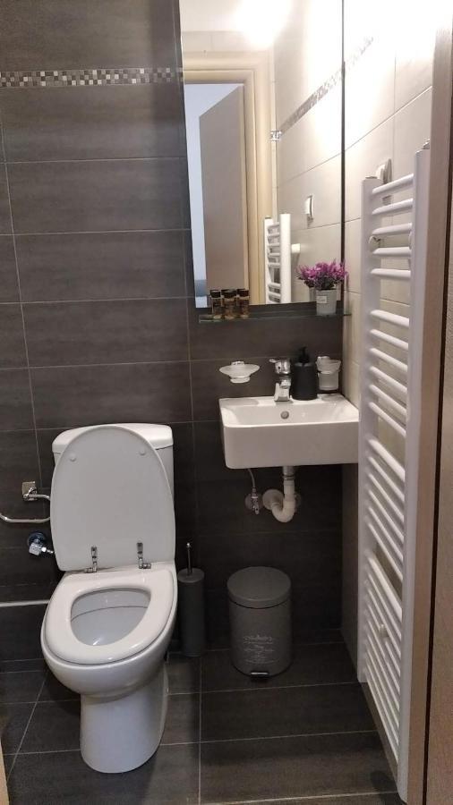 City Comfort Apartment 普雷韦扎 外观 照片