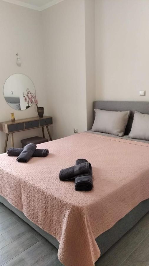 City Comfort Apartment 普雷韦扎 外观 照片